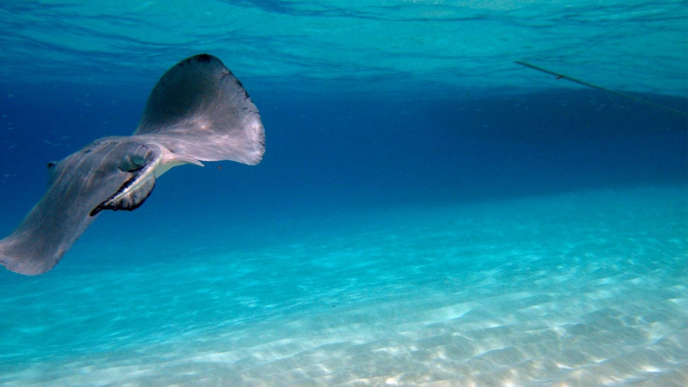 About Cayman Islands