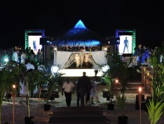 South Beach Themed Retirement Party